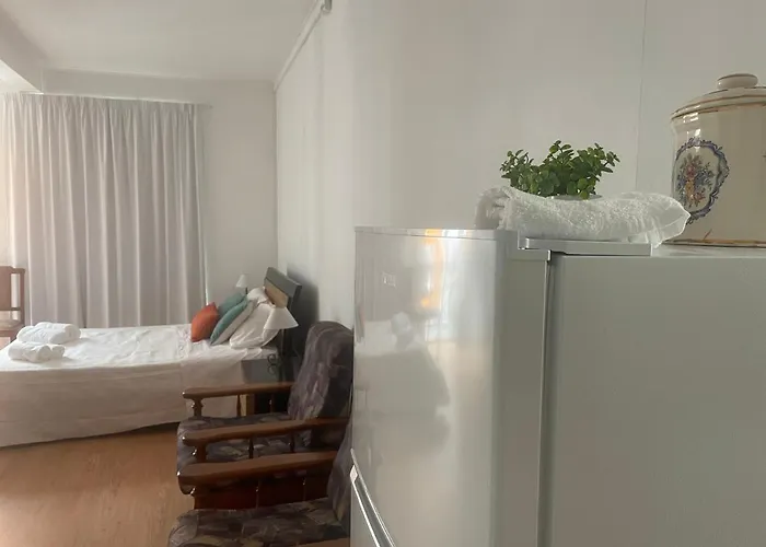 Canto Da Flor * ポンタ・デルガダ